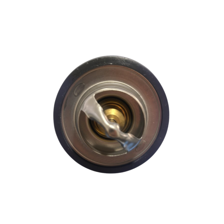 Termostato Chevrolet Chevrolet 1,4/1,6    94>99